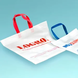 Bolsa friselina